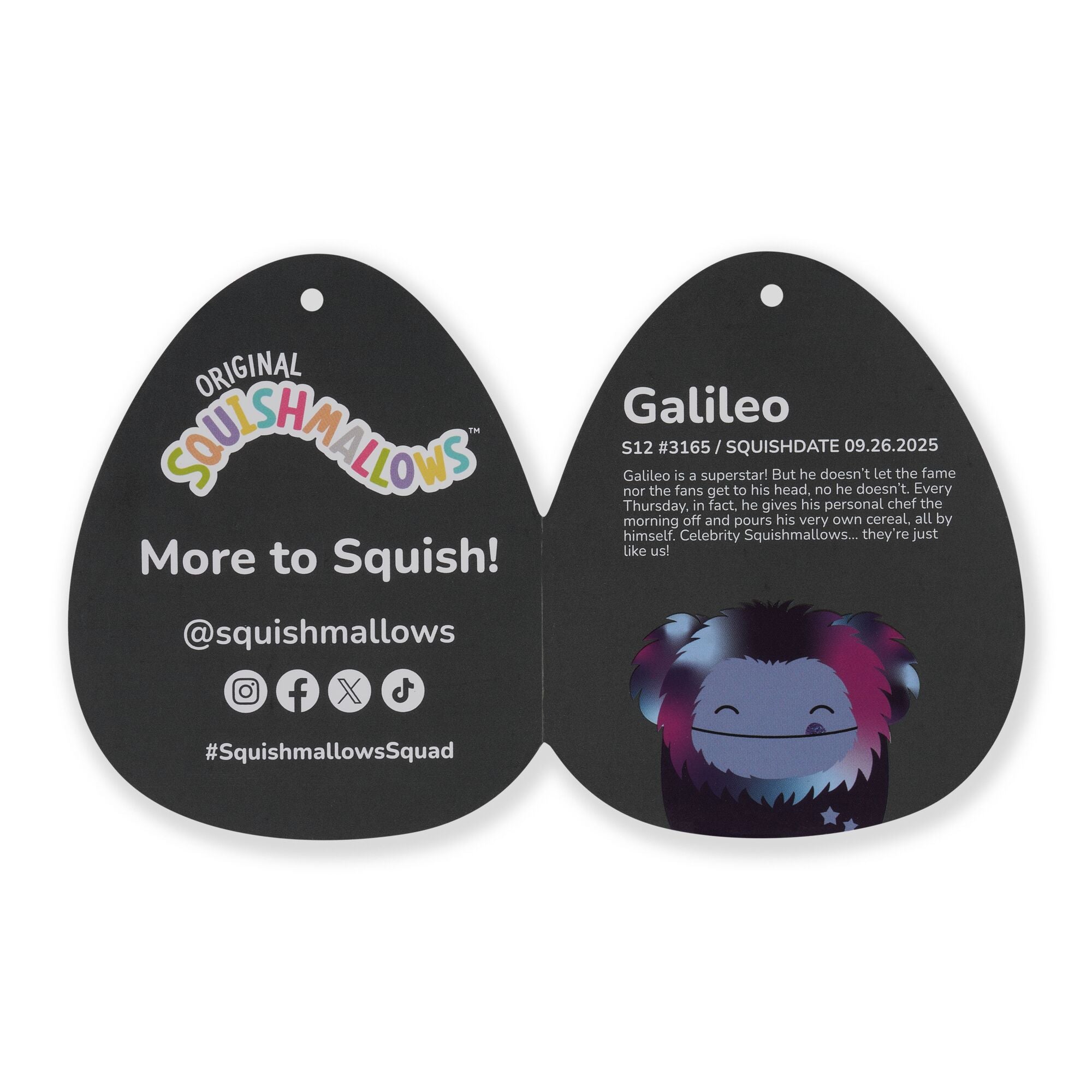 12-Inch Select Series Galileo the Galaxy Bigfoot - Image 7