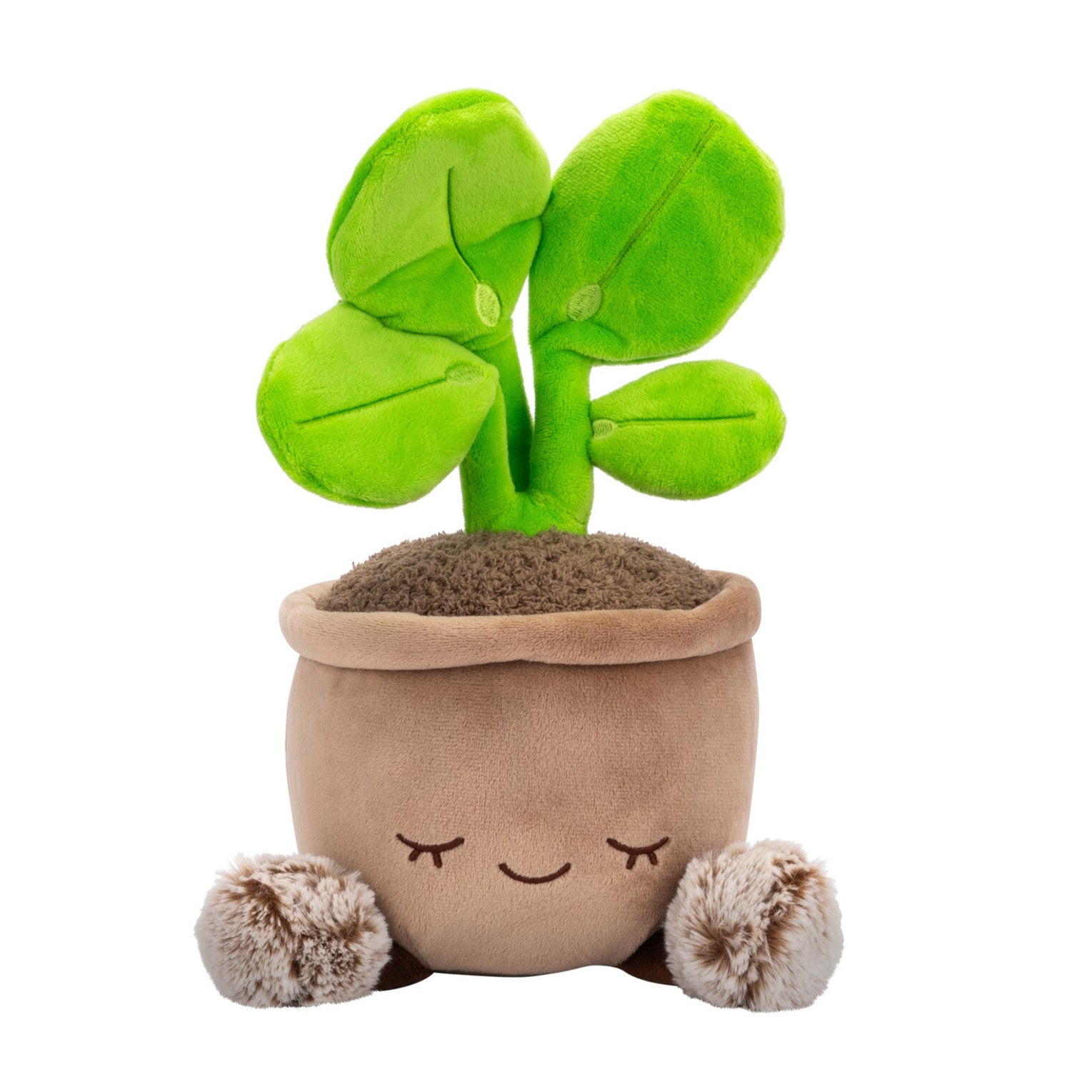 Greenhouse by Russ 12-Inch Pilea Plant Plush