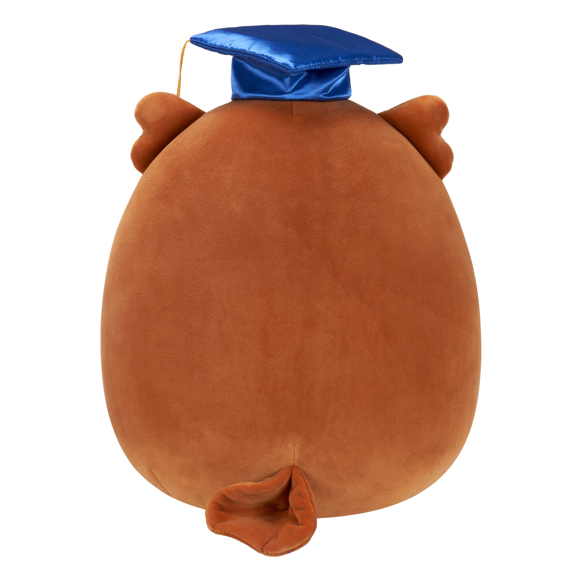 12-Inch Arella the Brown Owl in Graduation Cap - Image 4
