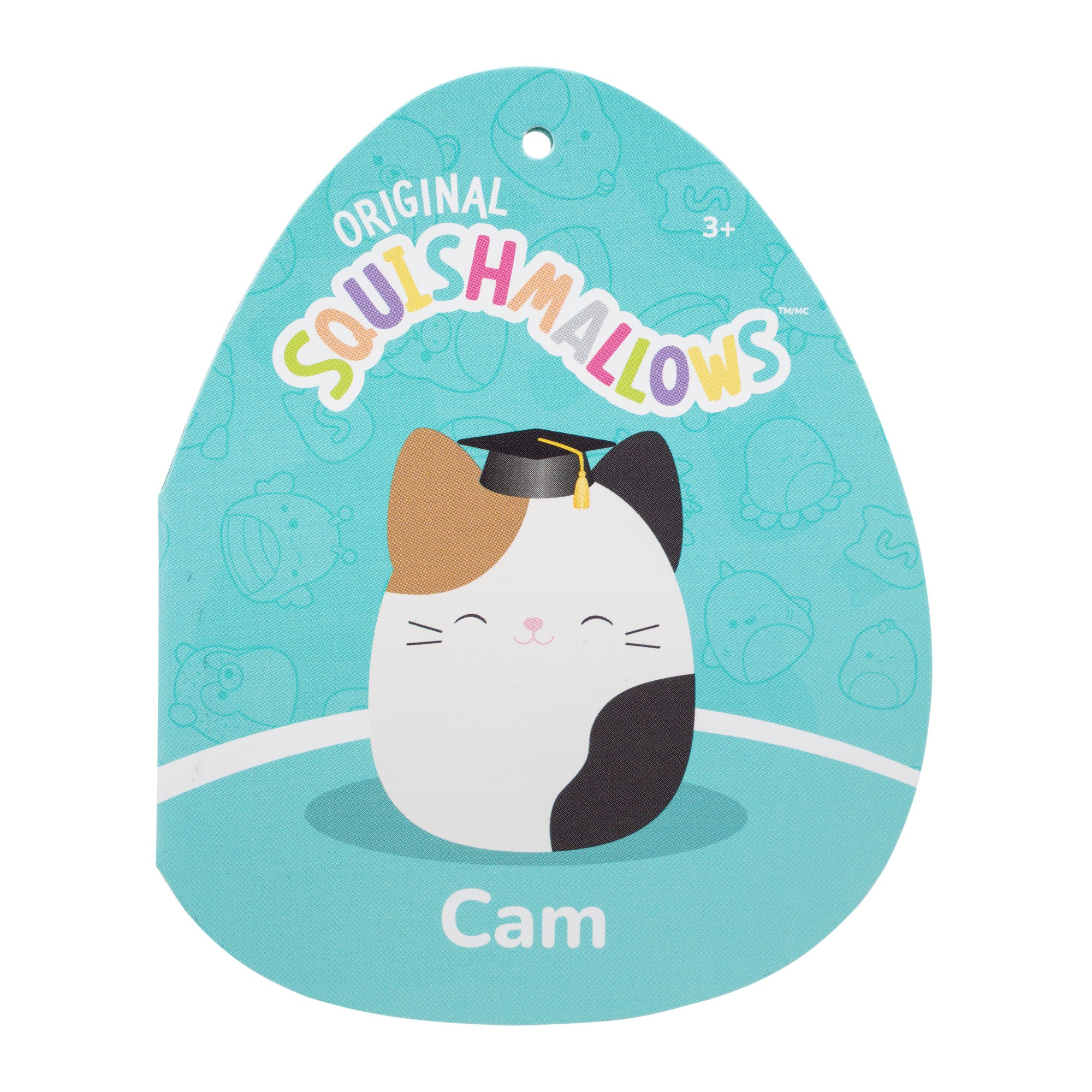 12-Inch Cam the Calico Cat in Graduation Cap - Image 5